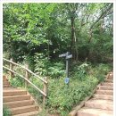 올레길 산림형 1코스 이미지