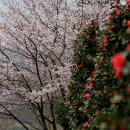 곡성군청 이미지