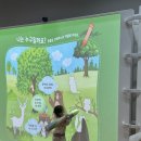 무지개 사슴농장 이미지