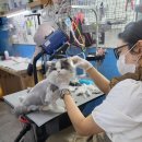 여주 멍스타 이미지