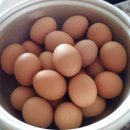 댄스스포츠 기초-차차차&자이브 이미지