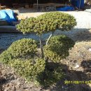 송계농장 이미지