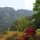 백아산가든
