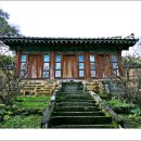 구지서로 이미지