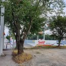 안흥초 사거리 이미지