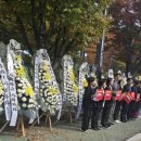 성남시청앞 인도 이미지