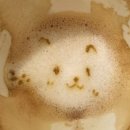라두스 네이버블로그