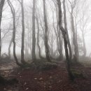 루이힐스 C.C 이미지