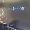 몽몽이애견 이미지