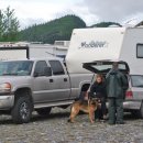 연어의고향 이미지