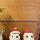 1932 | 서울역 만리동 더하우스 1932 카페 내돈내산 후기