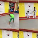 아빠가 가르치는 인성태권도장 이미지