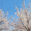 경서근린공원 이미지