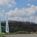 풍일로(일직면) | 안동산불이후 찾아간 남안동cc 비가온뒤 더 굳건해지듯 잔디상태 너무 좋네요