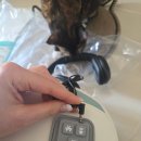 힐스템 수면 힐링샵 | 마사지 대신 이거 써봤어요 | 웰스토리 힐링 음파 쿠션 내돈내산 솔직 후기