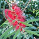 히얼 앤 유 이미지