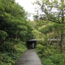 티.밥 | 제주도 오설록 티뮤지엄, 말차 누들바 후기 | 오 차밥, 말차 비빔 국수 후기 + 녹차밭 산책