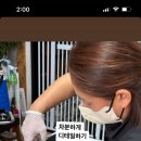 야옹아 놀자 포항점 이미지