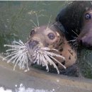 늘봄국수 이미지