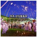 무주반딧불 축제 이미지