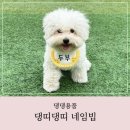 댕띠댕띠