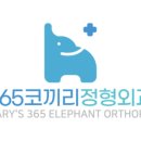 갤러리성모정형외과의원 | [성북구 정형외과] 365일 진료되는 믿을 수 있는 병원, 성모365코끼리정형외과의원 후기