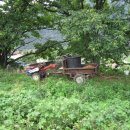 동강의낙원 이미지