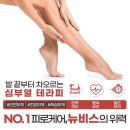 뉴비스 이미지
