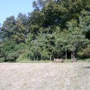 이영미술관 이미지