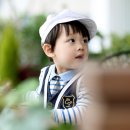 레몬트리 이미지