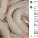 레이지키친 이미지