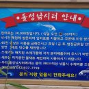 돌성저수지낚시터 이미지