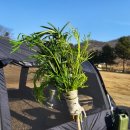 학교안 풍경 캠핑장 | [파주] 학교안 풍경캠핑장 이용후기