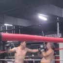 효성 복싱체육관 이미지