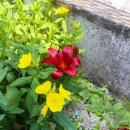 신선한옥펜션 이미지