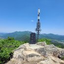 천지행정사사무소 이미지