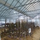양주지역산림조합임산물종합유통센터