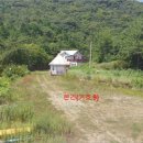 남해대로 이미지