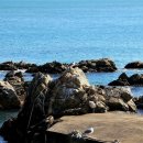 펜션 바다의 꿈 1 이미지