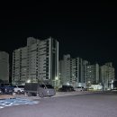 옥천공설운동장 | 옥천 향수 시네마에서 왕과 사는 남자 후기