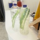 은어송로 77번길 | 대전피부관리 추천｜가오동바디관리 '비쥬피부' 등관리 솔직후기