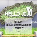 법환 어촌계 | 제주도 서쪽 3박4일 여행코스 일정 총정리｜25년 여름휴가 필수 가이드 프롤로그