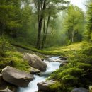 청산유수 이미지