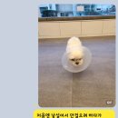 원러브동물의료센터 이미지