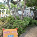 💛슬기 1반 학부모 참여수업을 했어요💛 이미지