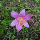 노을공원3 이미지