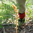 천마식당 이미지