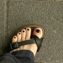 양재바른정형외과의원 이미지