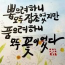 아라뜰펜션 네이버블로그