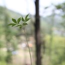 선유관 이미지